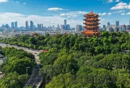 91麻豆精品国产自产在线-国产影音文化的多元视角，91麻豆精品国产自产在线的背后故事