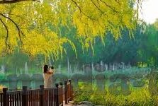 国产一区二区视频在线观看-国产一区二区视频的在线观看，理性审视与合理使用