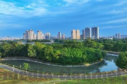 麻豆91入口-麻豆91，深度洞察网络世界的另类风景