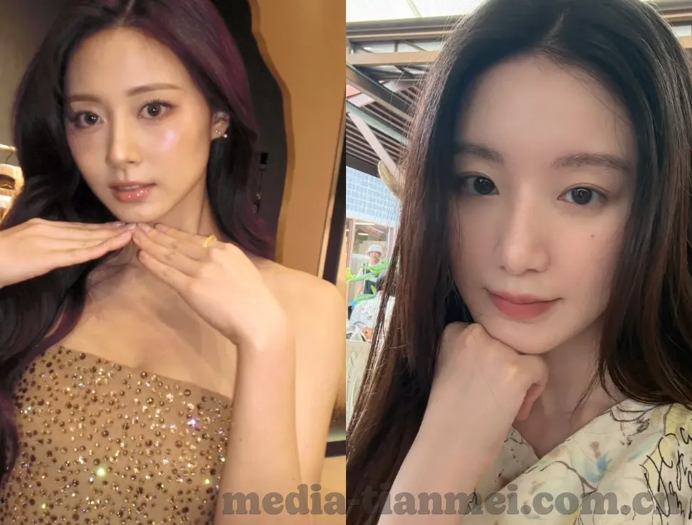 麻豆传媒电影网站-网络内容与法律的边界，以麻豆传媒电影网站为例