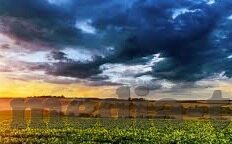糖心vlog下载网址-探索在线视频世界的乐趣，糖心Vlog的下载与体验