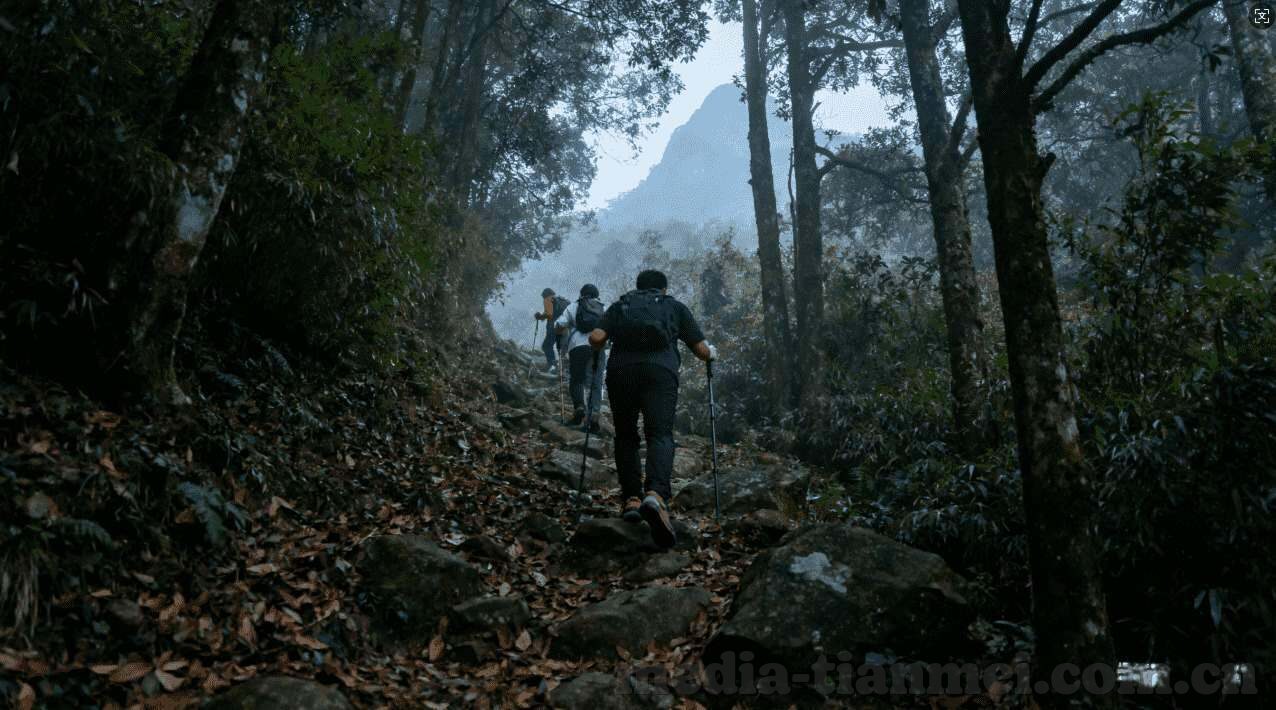 天美传媒 麻豆-行业创新与文化交融的探索，天美传媒与麻豆现象的深度剖析